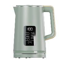 Electric Kettle