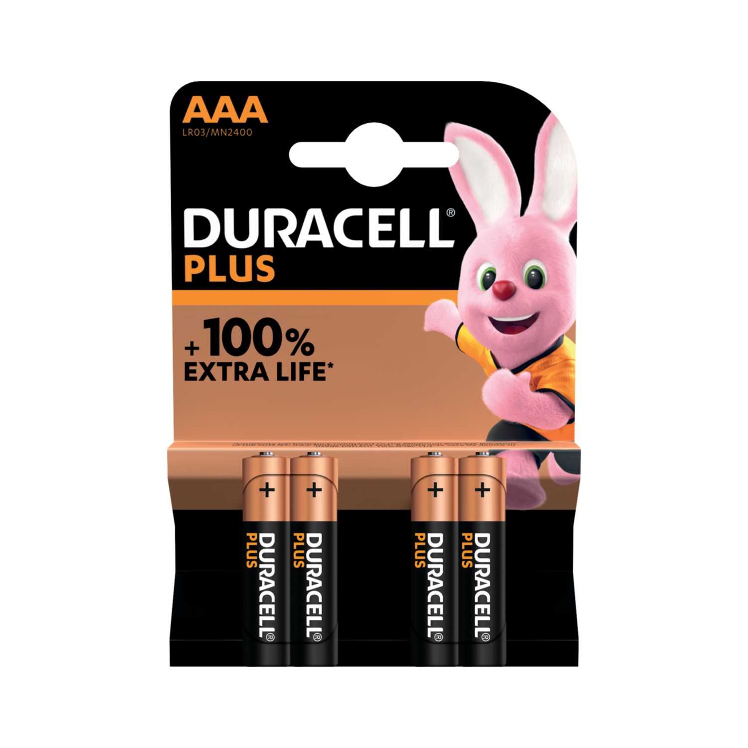 AAA / LR3 Batteries